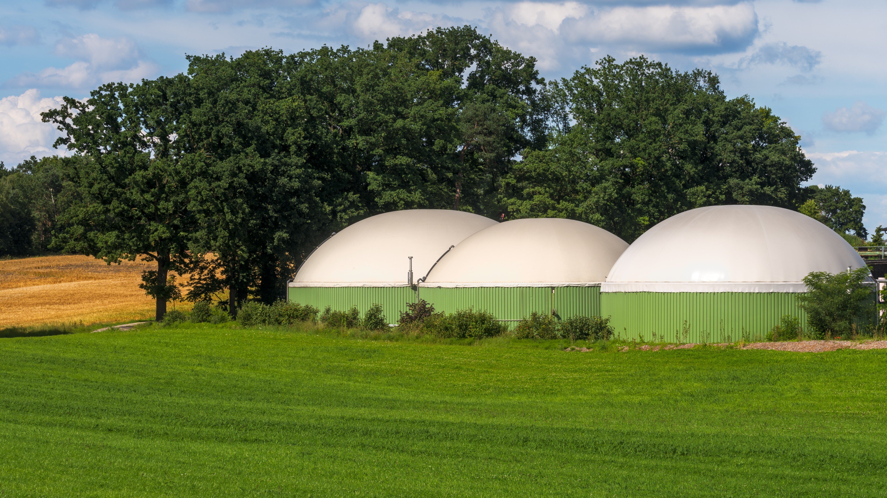 Green Rev 2025: Compressed Biogas Key To Achieve India's Net Zero Goals, Says GAIL's Rajiv Singhal