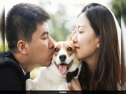 Scam Or Spiritual Gift? Chinese Pet Owners Pay Big To 'Talk' To Dead Pets Scam Or Spiritual Gift? Chinese Pet Owners Pay Big To 'Talk' To Dead Pets