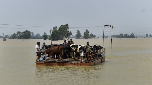 Rajasthan: भीलवाड़ा ने पेश की मानवता की मिसाल, पंजाब के बाढ़ पीड़ितों के लिए 2 ट्रक भरकर भेजी राहत सामग्री