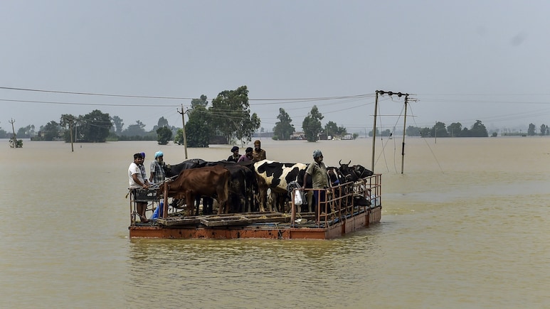 Rajasthan: भीलवाड़ा ने पेश की मानवता की मिसाल, पंजाब के बाढ़ पीड़ितों के लिए 2 ट्रक भरकर भेजी राहत सामग्री