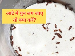 आटे में कीड़े लग जाए तो क्या करें? बरसात में पड़ने वाली घुन को मिनटों में दूर कर देगा यह तरीका, एक बार देख लें आजमाकर आटे में कीड़े लग जाए तो क्या करें? बरसात में पड़ने वाली घुन को मिनटों में दूर कर देगा यह तरीका, एक बार देख लें आजमाकर
