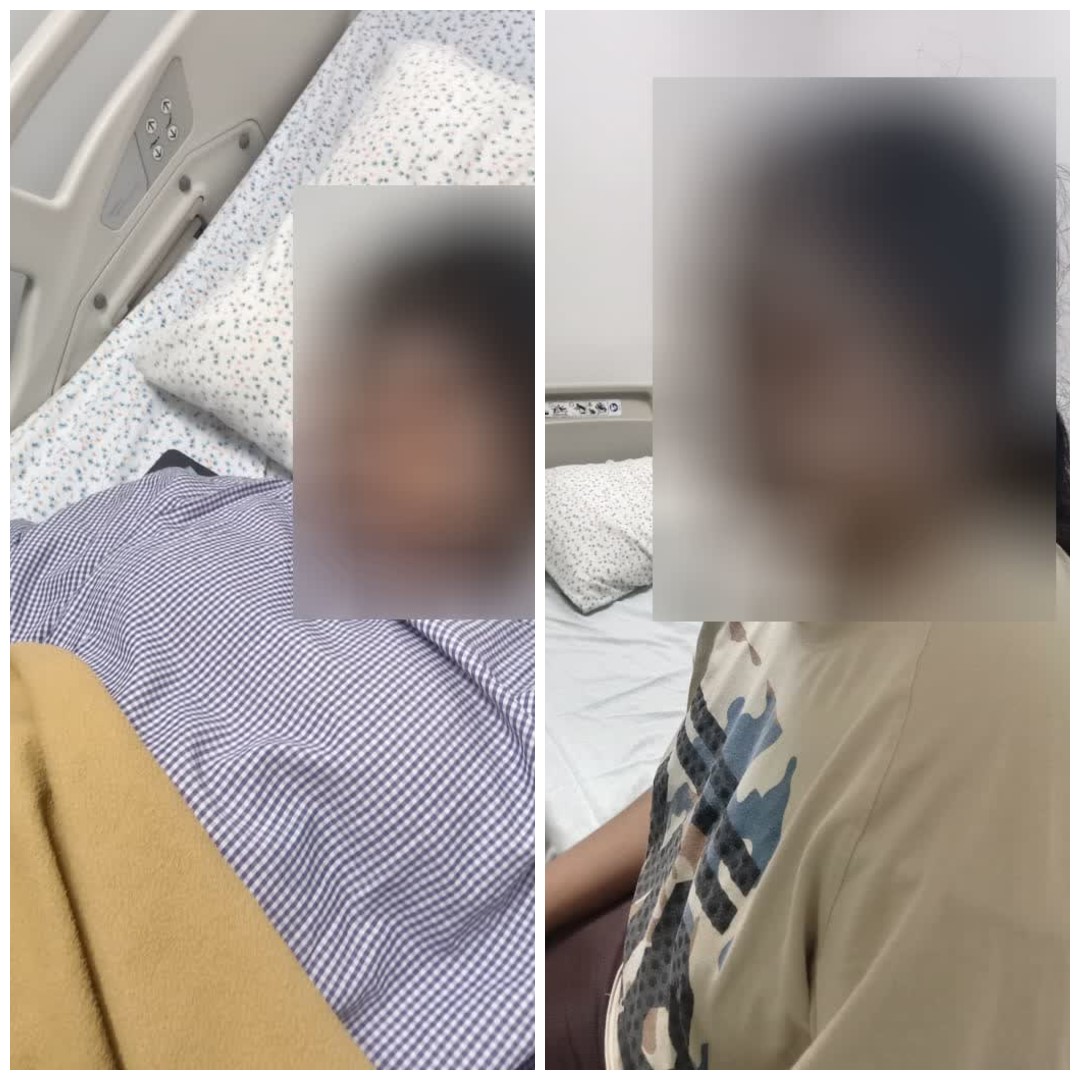 Stray Dogs Bite 2 College Students In Bengaluru