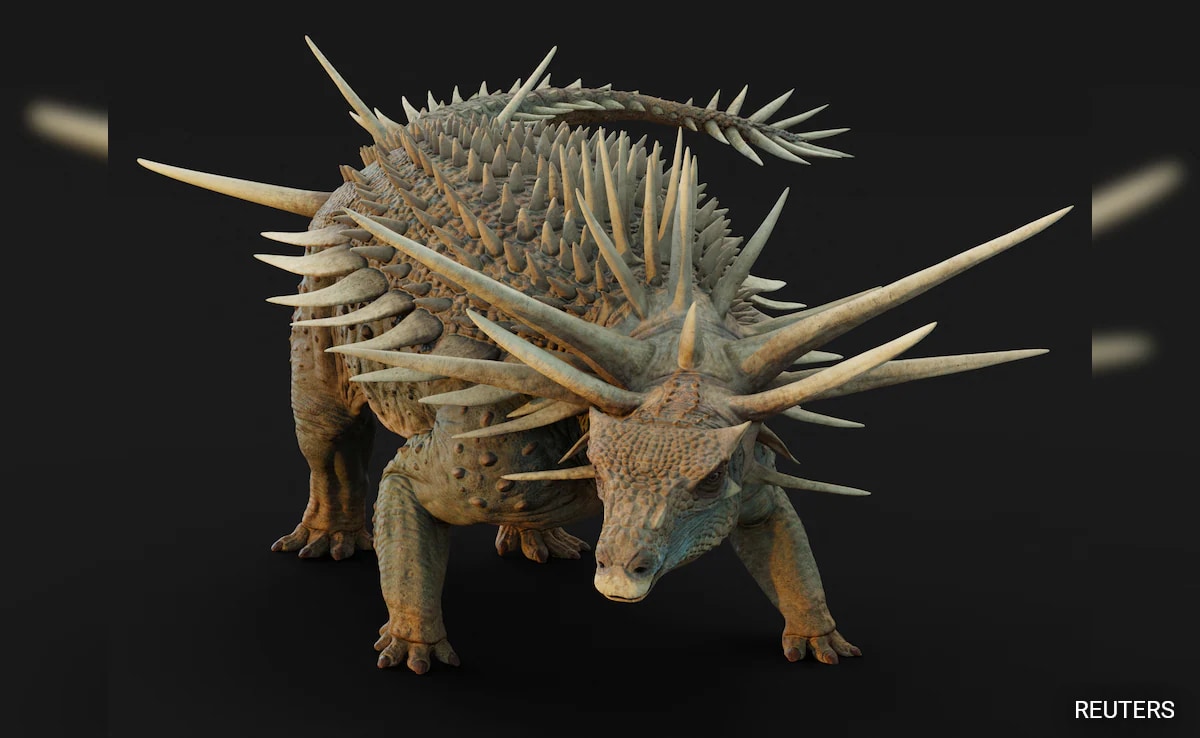 "Jaw-Droppingly Weird" Dinosaur From Morocco Was Studded With Spikes