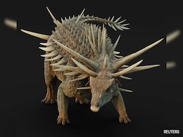 "Jaw-Droppingly Weird" Dinosaur From Morocco Was Studded With Spikes "Jaw-Droppingly Weird" Dinosaur From Morocco Was Studded With Spikes