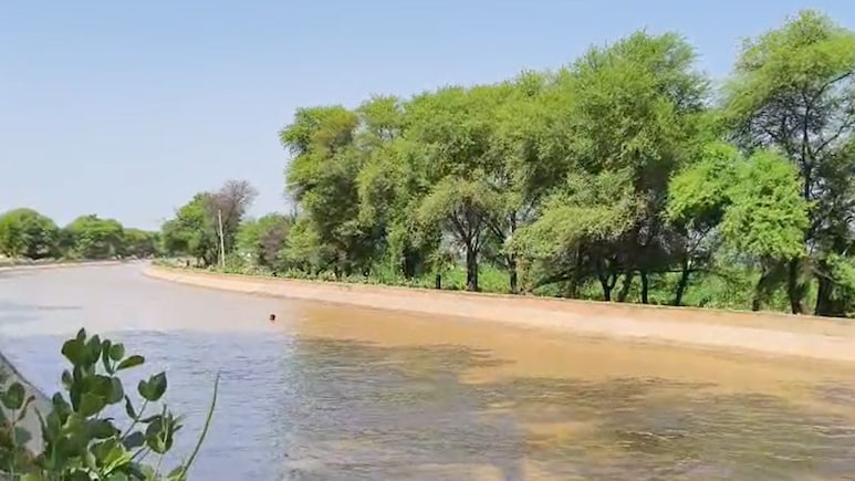Rajasthan: NDRF के इंतजार में ही खत्म हुई तलाश, नहर में बहे युवक का 16 घंटे बाद मिला शव Rajasthan: NDRF के इंतजार में ही खत्म हुई तलाश, नहर में बहे युवक का 16 घंटे बाद मिला शव