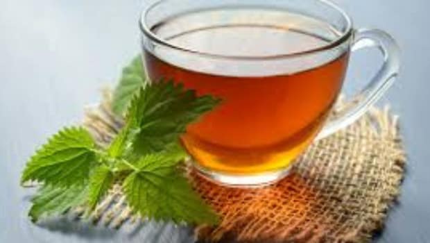 What Happens When You Drink Green Tea Every Day For A Month