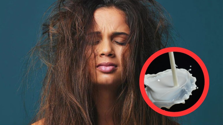 सूखे बालों को करना है हाइड्रेट तो दूध में मिलाकर लगा लें यह चीज, मुलायम होकर उंगलियों से फिसलने लगेंगी लटें सूखे बालों को करना है हाइड्रेट तो दूध में मिलाकर लगा लें यह चीज, मुलायम होकर उंगलियों से फिसलने लगेंगी लटें