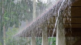 Rain Alert : 14 ऑगस्टनंतर पावसाचा जोर वाढणार, हवामान विभागाकडून 11 राज्यांना हाय अलर्ट