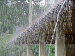 Rain Alert : 14 ऑगस्टनंतर पावसाचा जोर वाढणार, हवामान विभागाकडून 11 राज्यांना हाय अलर्ट