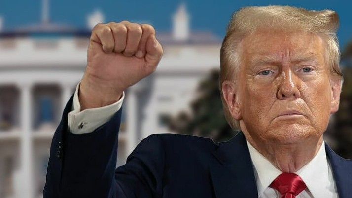 Trump Proof Stocks &mdash; Time To Take Cover In Banks, Cement, Real Estate And Power?