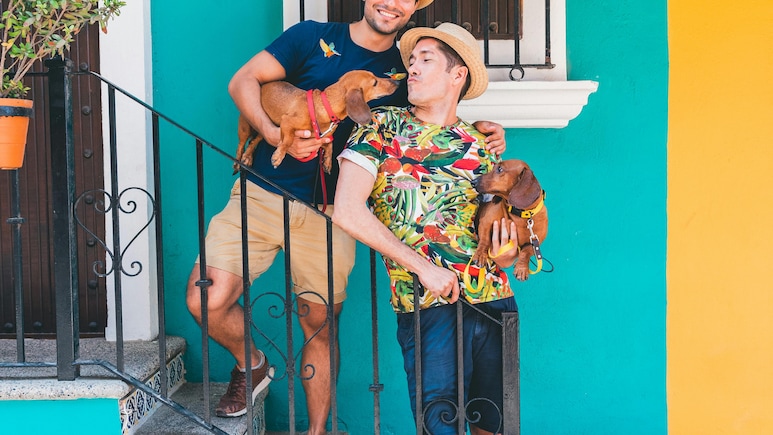 Planning A Holiday With Your Pet? Here's What To Look For In A Hotel Stay Planning A Holiday With Your Pet? Here's What To Look For In A Hotel Stay