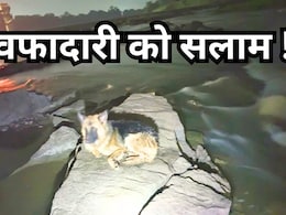 नदी में बहा डॉगी को नहलाने लाया युवक, 48 घंटे तक मालिक के इंतजार में वहीं बैठा रहा कुत्ता नदी में बहा डॉगी को नहलाने लाया युवक, 48 घंटे तक मालिक के इंतजार में वहीं बैठा रहा कुत्ता