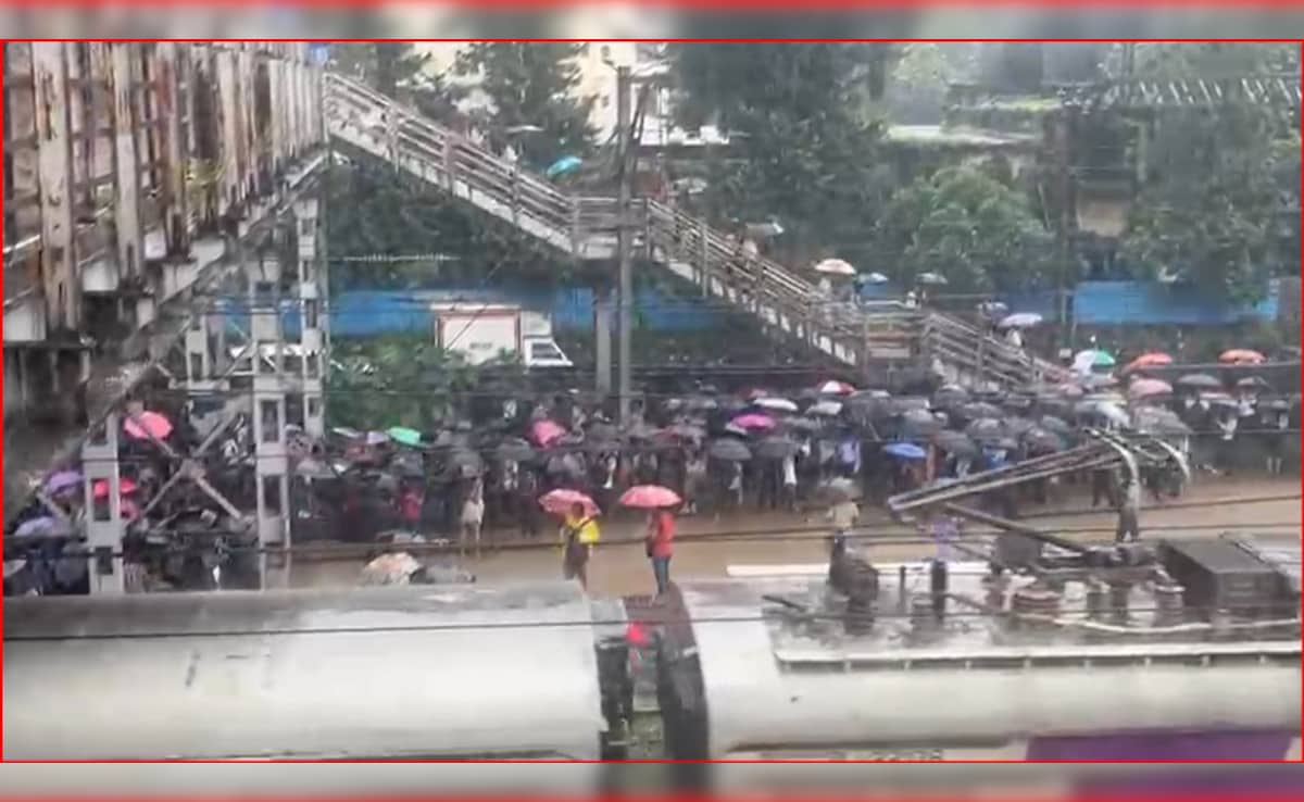 Latest and Breaking News on NDTV Latest and Breaking News on NDTV