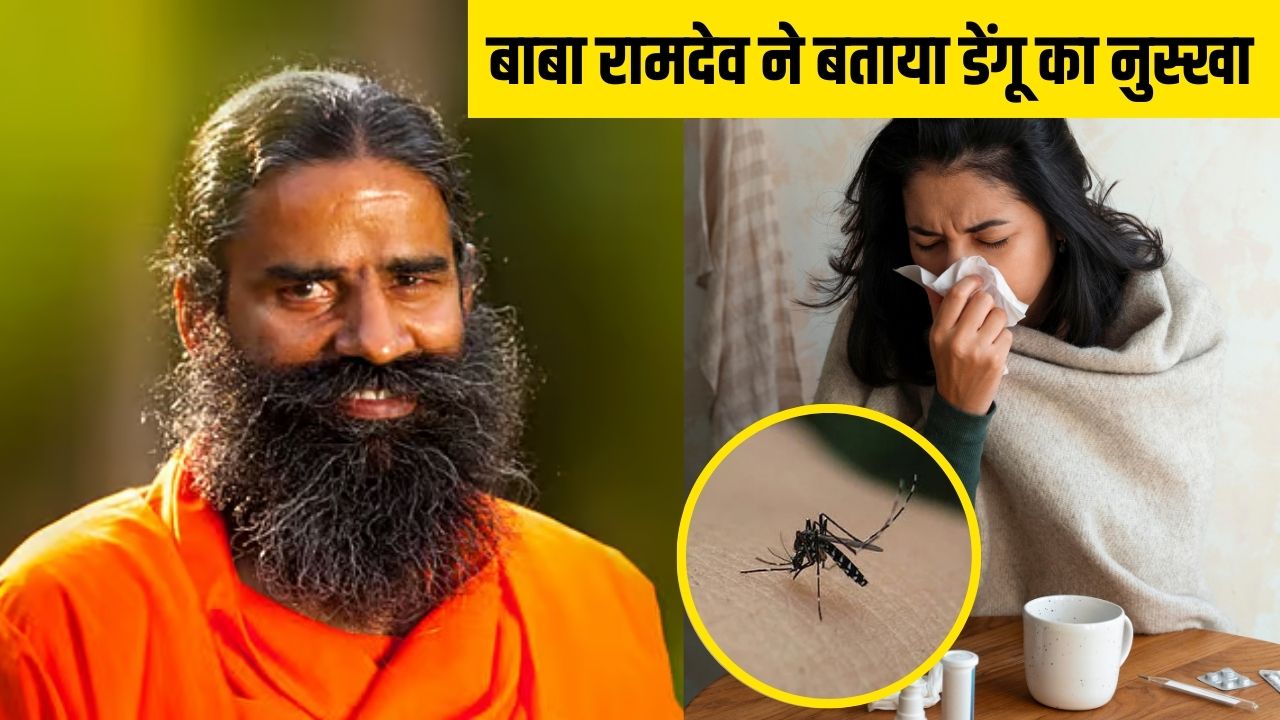 World Mosquito Day 2025: स्वामी रामदेव ने बताया डेंगू का कारगर नुस्खा, घर पर बना लें ये काढ़ा, तेजी से बढ़ेंगी प्लेटलेट्स