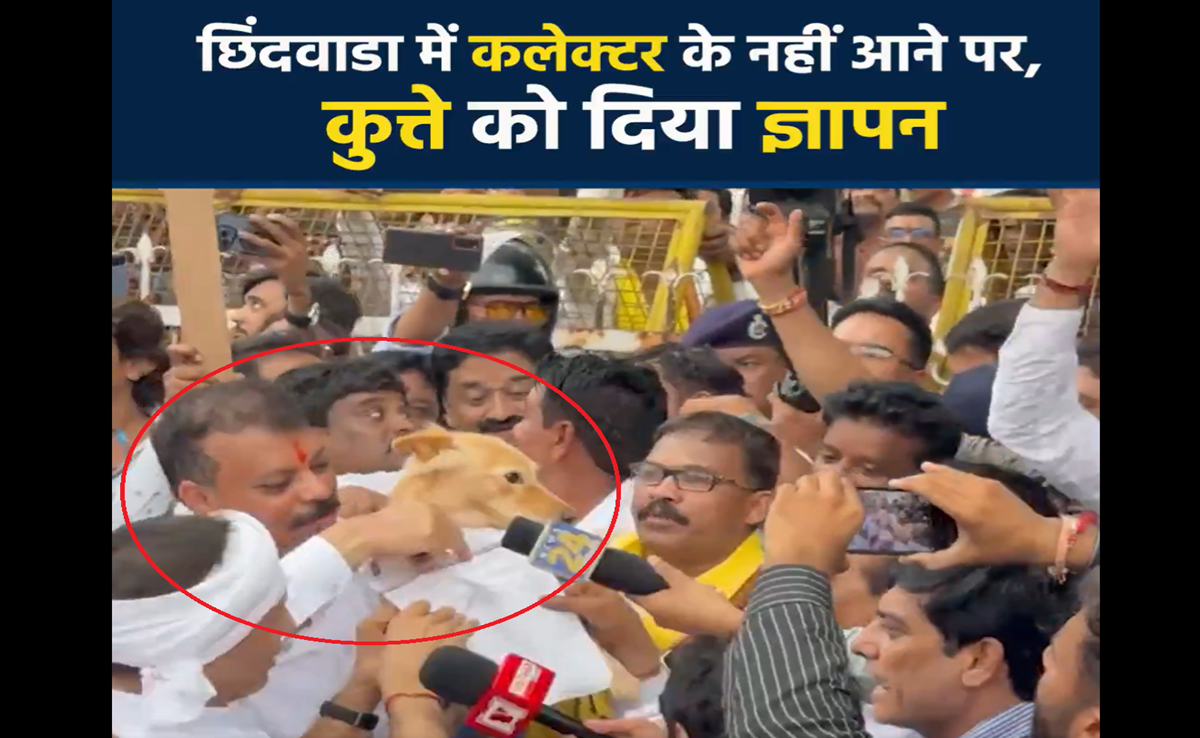 Kisan Bachao Rally: छिंदवाड़ा में कांग्रेस की हुंकार; जानें-किसानों की समस्या को लेकर कुत्ते को क्यों&nbsp;सौंपा&nbsp;ज्ञापन