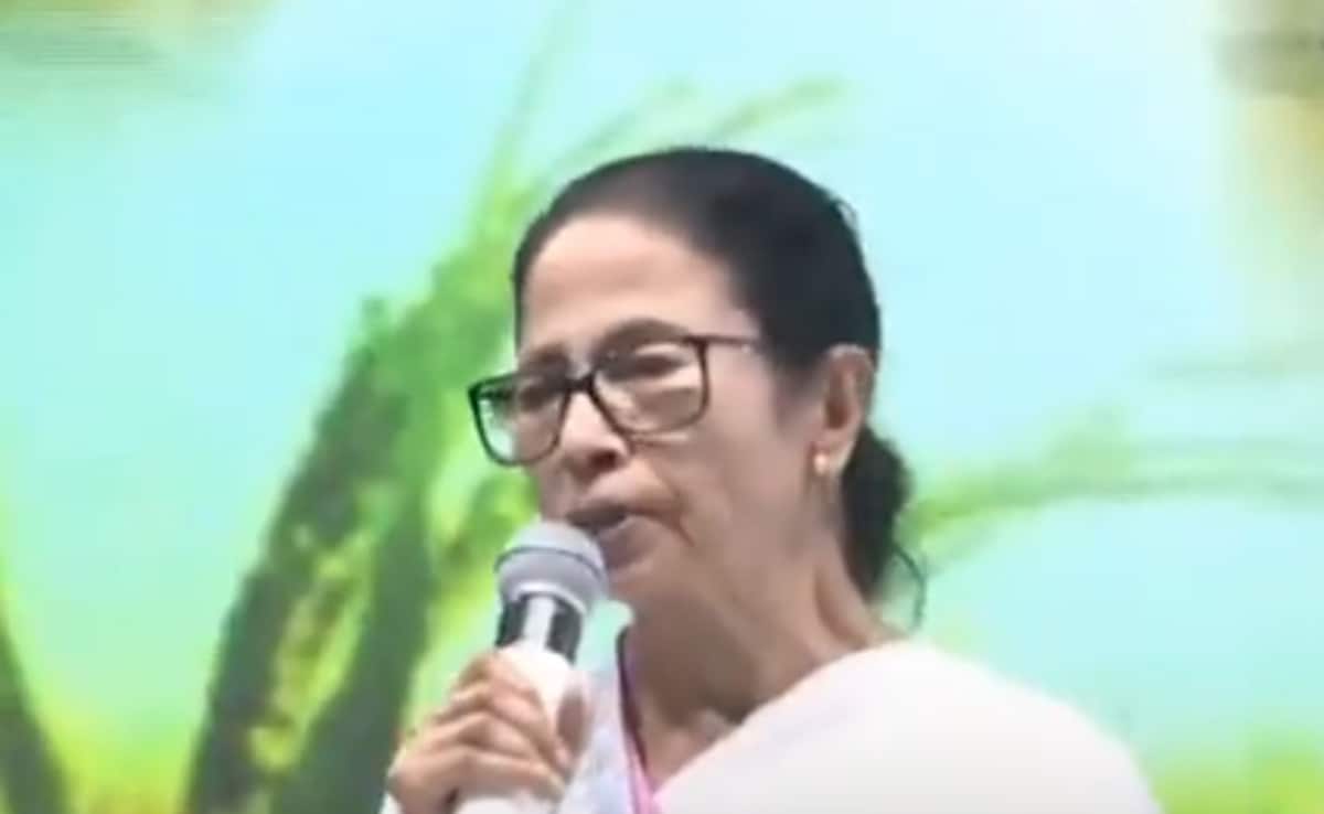 Need "Civic Consciousness": Mamata Banerjee After Kolkata Deluge