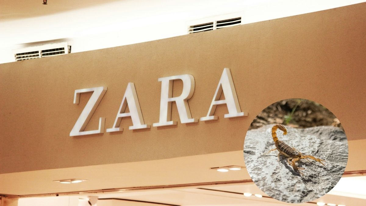 Scorpion Sting In Zara Dressing Room Sends A 20-Year-Old Brazilian Woman To Hospital