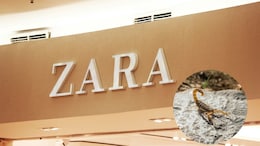 Scorpion Sting In Zara Dressing Room Sends A 20-Year-Old Brazilian Woman To Hospital
