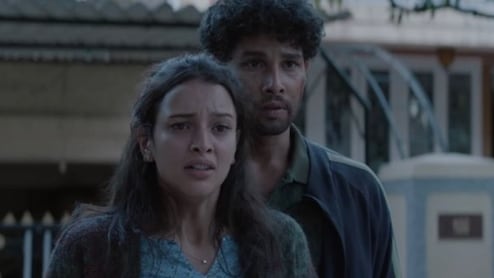 Dhadak 2 Review: This Siddhant Chaturvedi And Triptii Dimri Film Unsettles You, Doesn't Pull Any Punches On Caste Violence