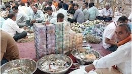 Rajasthan: मेवाड़ के श्री सांवरिया सेठ मंदिर में चढ़ावे का रिकॉर्ड, दानपात्र से निकले 22,00,00,000 रुपये से ज्यादा