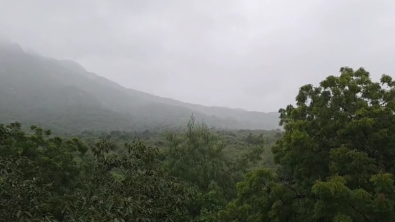 Rajasthan: बारिश में राजस्थान का हिल स्टेशन गुलजार, 3 दिन के भीतर ही माउंट आबू में पहुंचे 70 हजार पर्यटक