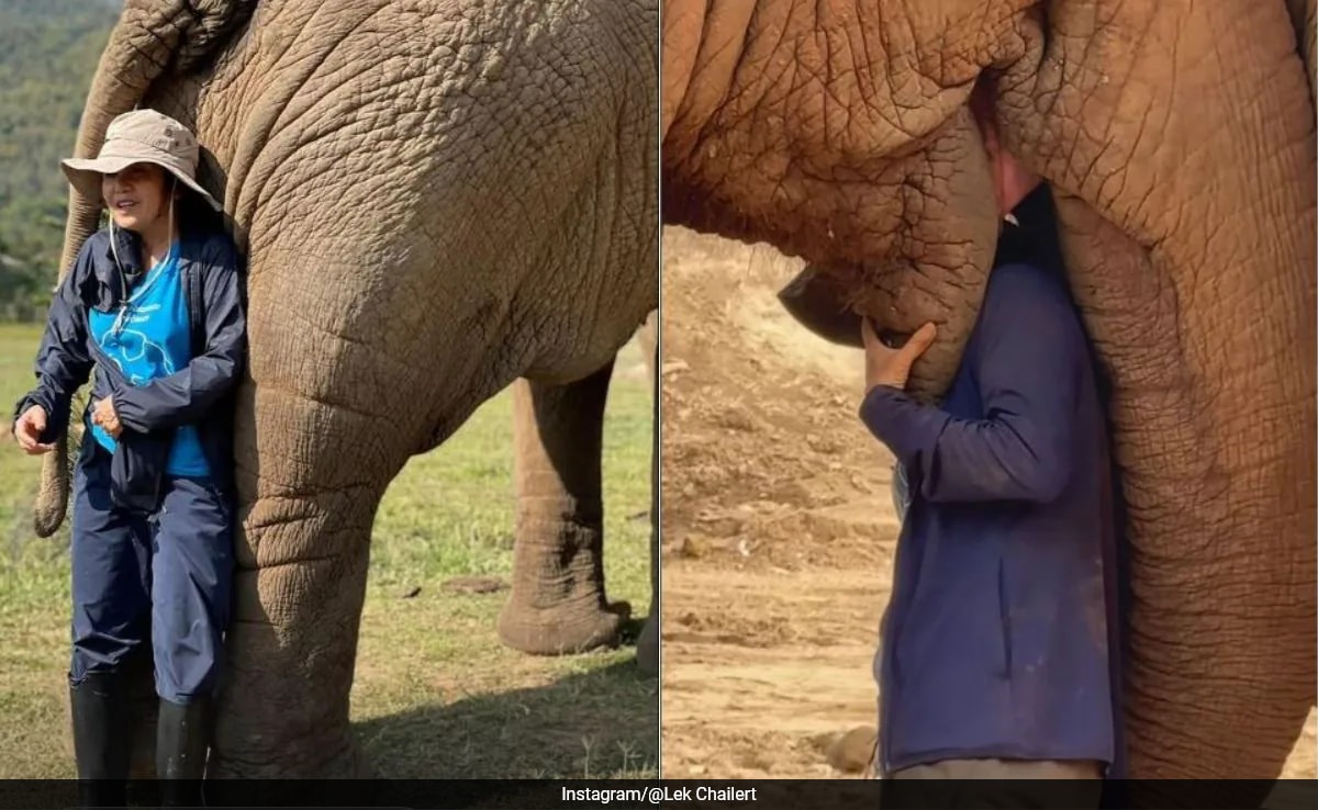 Viral Video: Elephant Refuses To Let Woman Go As She Sings