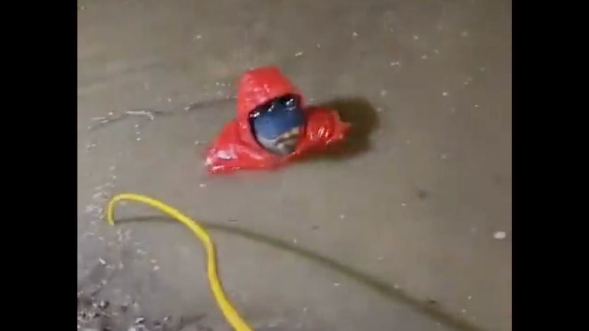 "Not About Rs 15": Delivery Worker Falls In Drain, Phone Lost, Bike Damaged
