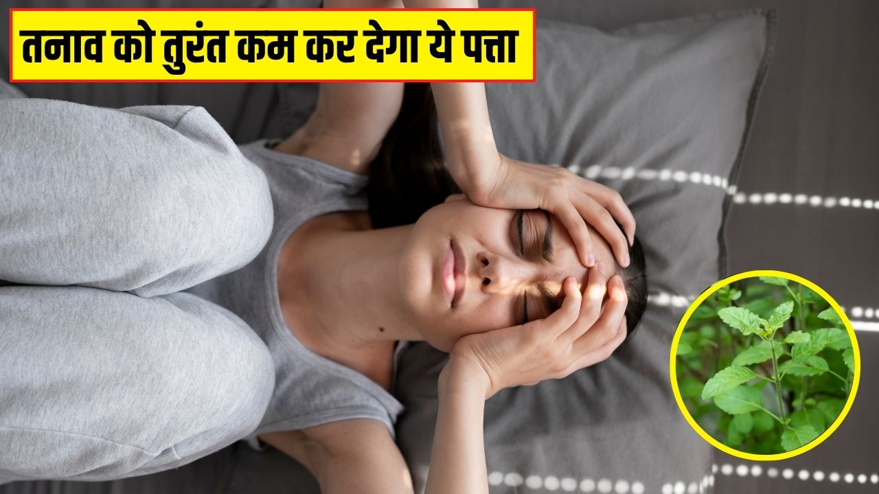 Anxiety और Stress का सबसे असरदार देसी इलाज, आयुर्वेदिक डॉक्टर ने बताया ये पत्ते चबाने से तुरंत शांत हो जाएगा मन