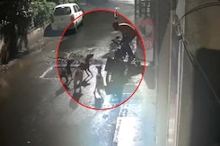 On Camera, 7 Stray Dogs Attack Maharashtra Man. Then A Dramatic Escape On Camera, 7 Stray Dogs Attack Maharashtra Man. Then A Dramatic Escape