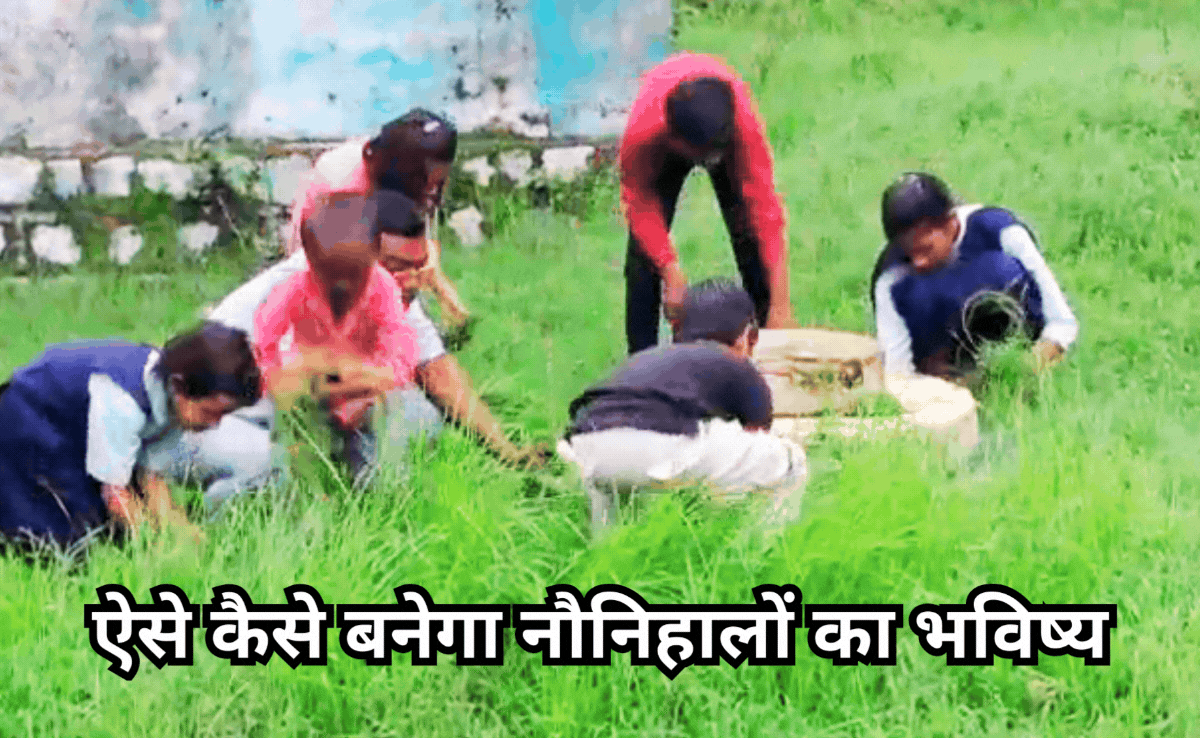 Viral Video: क्लास में पढ़ने के बजाय फील्ड में घास काटते नजर आए छात्र, वायरल हुआ वीडियो