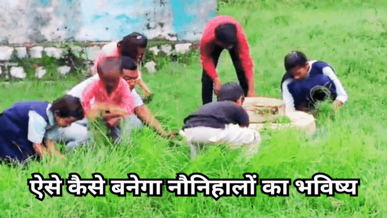 Viral Video: क्लास में पढ़ने के बजाय फील्ड में घास काटते नजर आए छात्र, वायरल हुआ वीडियो Viral Video: क्लास में पढ़ने के बजाय फील्ड में घास काटते नजर आए छात्र, वायरल हुआ वीडियो