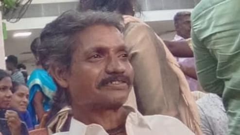 Chennai Man, 50, Mauled To Death By Neighbour's Pitbull: Cops