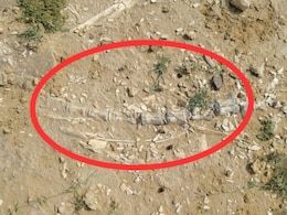 Rajasthan: जैसलमेर में फिर मिलीं डायनासोर जीवाश्म की निशानियां, वैज्ञानिक और स्थानीय लोग उत्साहित