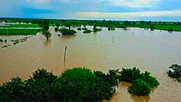 Marathwada Rain Update : पावसाची धुवाँधार बॅटिंग; हिंगोलीत शेतींचं प्रचंड नुकसान, संभाजीनगरची स्थिती काय आहे?