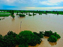 Marathwada Rain Update : पावसाची धुवाँधार बॅटिंग; हिंगोलीत शेतींचं प्रचंड नुकसान, संभाजीनगरची स्थिती काय आहे?