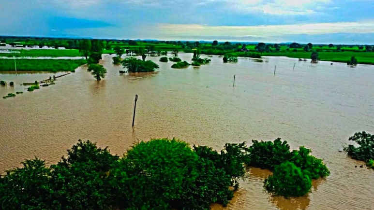 Marathwada Rain Update : पावसाची धुवाँधार बॅटिंग; हिंगोलीत शेतींचं प्रचंड नुकसान, संभाजीनगरची स्थिती काय आहे? Marathwada Rain Update : पावसाची धुवाँधार बॅटिंग; हिंगोलीत शेतींचं प्रचंड नुकसान, संभाजीनगरची स्थिती काय आहे?