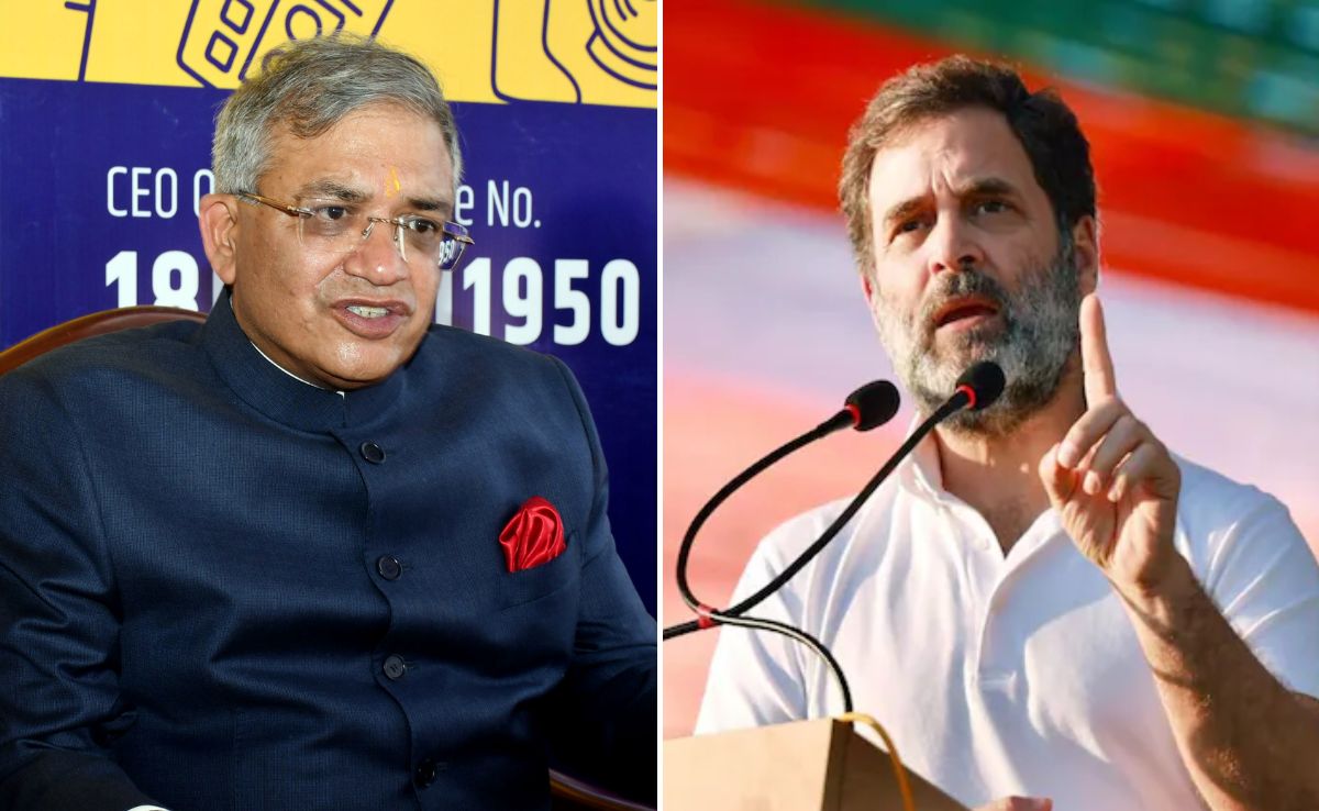"Ignore Baseless Allegations": Poll Body On Rahul Gandhi's Voter Fraud Claim