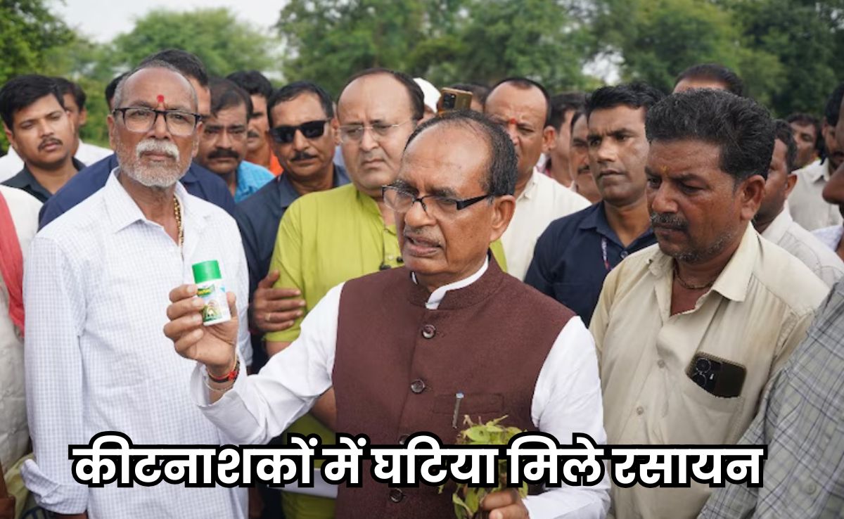 Damaged Soyabean Crop: जांच में कीटनाशकों में मिले घटिया रसायन, 3 जिलों के डिफाल्टर कंपनियों के खिलाफ दर्ज हुआ FIR