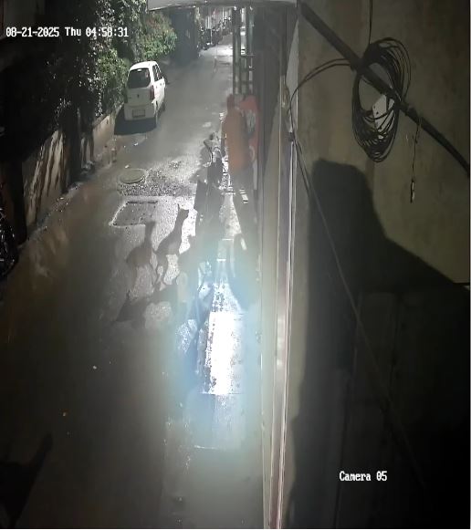 आवारा कुत्तों का ये आतंक आपको डरा देगा! पुणे में जब सरेआम शख्स पर कुत्तों के झुंड ने किया हमला, देखें VIDEO