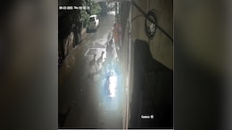 भटक्या कुत्र्यांची दहशत! पुण्यात रस्त्यावरुन चालणाऱ्या तरुणावर कुत्र्यांच्या टोळीचा हल्ला, पाहा Video