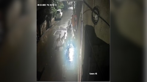 भटक्या कुत्र्यांची दहशत! पुण्यात रस्त्यावरुन चालणाऱ्या तरुणावर कुत्र्यांच्या टोळीचा हल्ला, पाहा Video