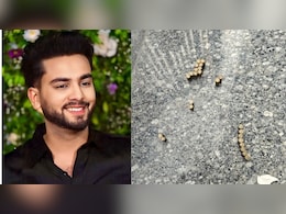 यूट्यूबर एल्विश यादव के घर ताबड़तोड़ फायरिंग, 24 कारतूस के खोखे मिले यूट्यूबर एल्विश यादव के घर ताबड़तोड़ फायरिंग, 24 कारतूस के खोखे मिले