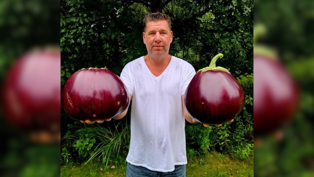 US Man Sets Guinness World Record With Heaviest Eggplant Ever
