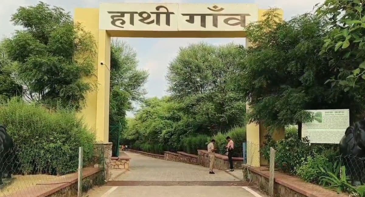 हाथी गांव बसाया. हाथी गांव बसाया.