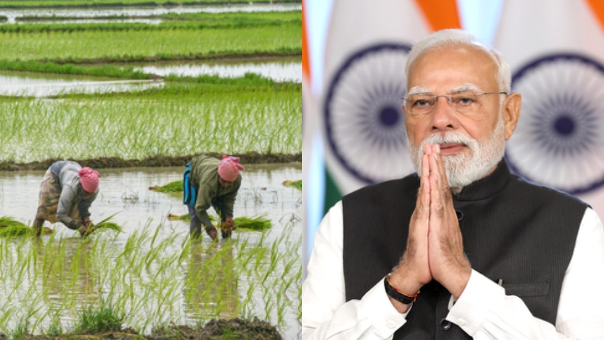 पीएम मोदी 23 अगस्त को लॉन्च करेंगे 'प्राकृतिक कृषि मिशन', जानें क्या होगा इसका फायदा