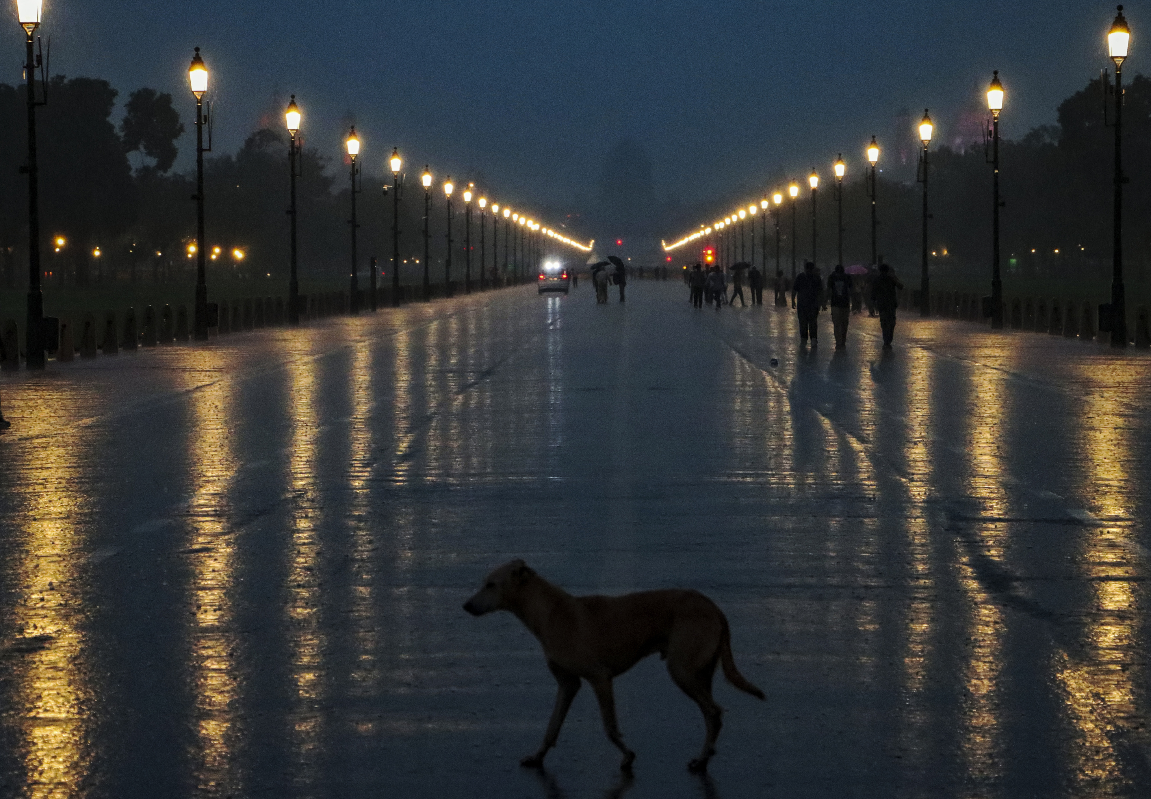 Delhi Records Its Wettest Month Of The Year In August
