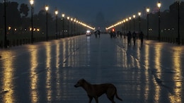 Delhi Records Its Wettest Month Of The Year In August