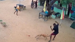 On Camera, Stray Dog Attacks Boy, Father In Tamil Nadu