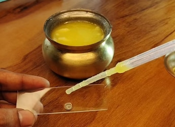 What Would Ghee Look Like Under A Microscope? This Video Comes With A Revelation What Would Ghee Look Like Under A Microscope? This Video Comes With A Revelation