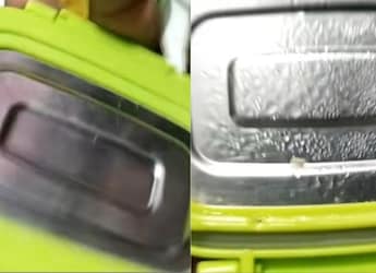 Viral Video Shows Larvae Inside Packed Tiffin Lid, Sparks Hygiene Alarm